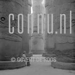 20-04-2007 Egypte.

[keywords]Black & White Image, Pillars[/keywords]